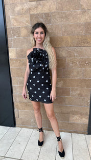 Polka Dot Floral Mini Dress