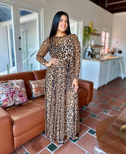 Long Sleeve Mesh Maxi Dress