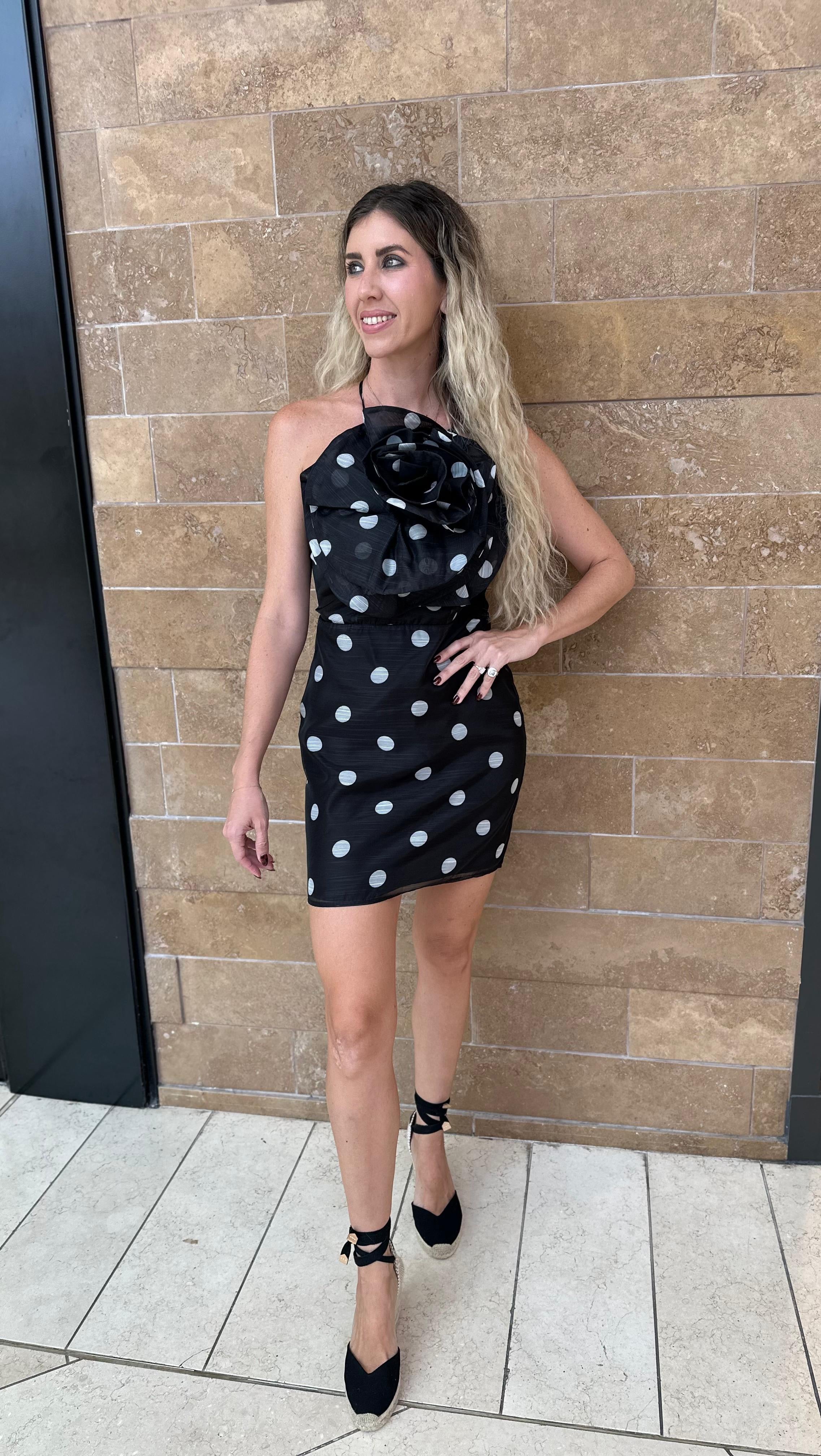 Polka Dot Floral Mini Dress